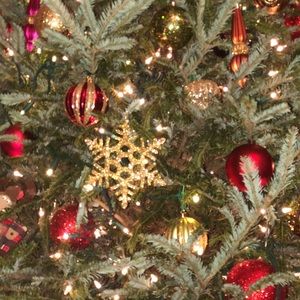 Meet your Posher, Lora